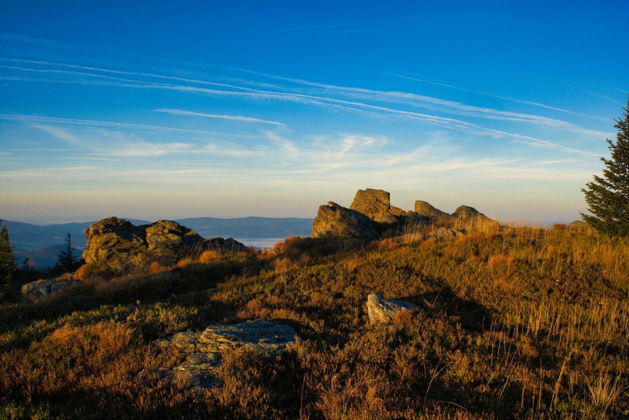 Waidlerland Waldkirchen Chalets Kültér fotó